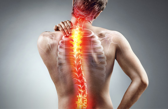 Physiotherapy - Warwick - Warwick Physio - Theraflex